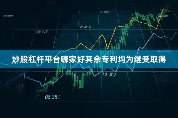 炒股杠杆平台哪家好其余专利均为继受取得