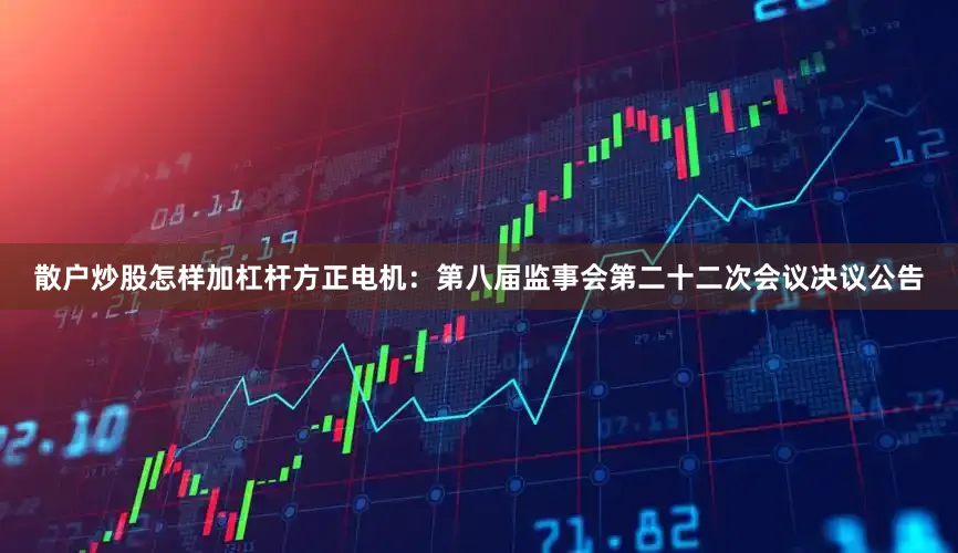 散户炒股怎样加杠杆方正电机：第八届监事会第二十二次会议决议公告