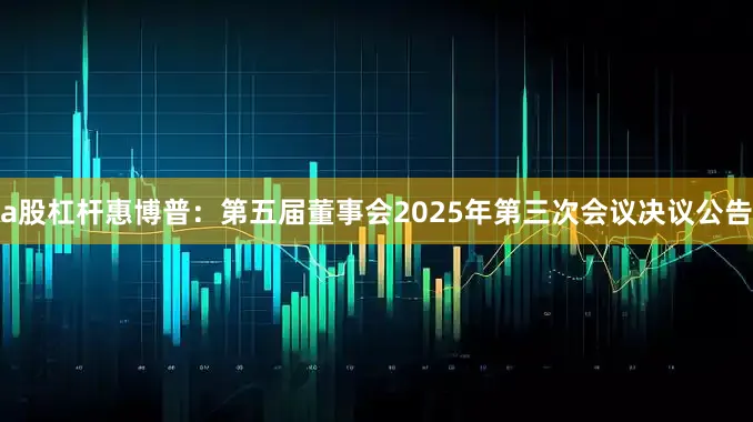a股杠杆惠博普：第五届董事会2025年第三次会议决议公告