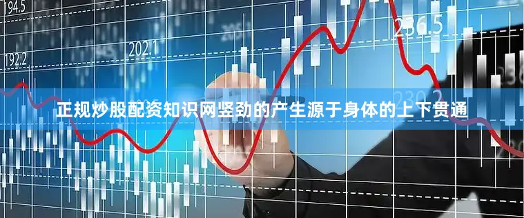 正规炒股配资知识网竖劲的产生源于身体的上下贯通